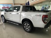 Bán Ford Wildtrak 3.2 AT 4x4 nhập khẩu Philippines & nhập Thái Lan 2018, hoàn toàn mới hỗ trợ trả góp 90%