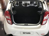 Bán xe Chevrolet Spark Dou sản xuất năm 2018, màu trắng 