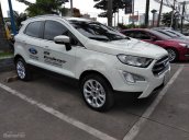 Bán xe Ecosport động cơ 1.0 màu trắng siêu hiếm