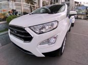 Bán xe Ecosport động cơ 1.0 màu trắng siêu hiếm