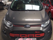 Bán ô tô Ford EcoSport đời 2014 màu nâu