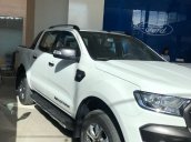 Bán Ford Ranger Wildtrak năm sản xuất 2018, màu trắng, xe nhập, giá 925tr