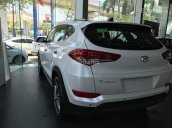 Bán xe Hyundai Tucson xăng 2.0 2018, bản đặc biệt