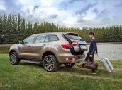 Bán Ford Everest Titanium năm 2018, màu vàng, nhập khẩu