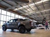 Bán Ford Ranger Raptor sản xuất 2018, màu bạc, nhập khẩu nguyên chiếc