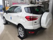 Tháng 7 nhiều ưu đãi khi mua xe Ecosport 2018 0946974404