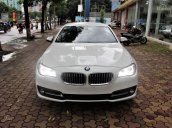 Cần bán xe BMW 5 Series 520i đời 2016, màu trắng, nhập khẩu