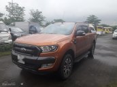 Cần bán xe Ford Ranger Wildtrak 2.2 sản xuất 2016, màu cam