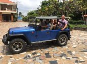 Cần bán lại xe Jeep Wrangler đời 1980, màu xanh lam giá cạnh tranh