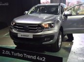 Bán Ford Everest 2.0 Titanium đơn đời 2019, màu bạc, nhập khẩu