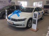 Bán Passat Bluemotion năm 2018, nhập khẩu, giao xe ngay, LH 0944064764 Giàu