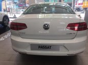 Bán Passat Bluemotion năm 2018, nhập khẩu, giao xe ngay, LH 0944064764 Giàu