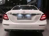 Cần bán Mercedes E250 năm 2018, màu trắng