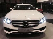 Cần bán Mercedes E250 năm 2018, màu trắng