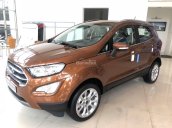 Bán Ford Ecosport 2018, mới 100%, khuyến mãi lớn, đủ màu, tặng phụ kiện, hỗ trợ trả góp 80% - LH: 033.613.5555