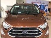 Bán Ford Ecosport 2018, mới 100%, khuyến mãi lớn, đủ màu, tặng phụ kiện, hỗ trợ trả góp 80% - LH: 033.613.5555