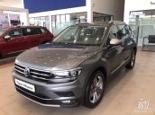 Bán VW Tiguan Allspace SUV 5+2 giá tốt, nhiều màu giao ngay toàn quốc, trả trước chỉ 500tr - 090.364.3659