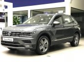 Bán Volkswagen Tiguan Allspace sản xuất 2018, màu xám (ghi), nhập khẩu