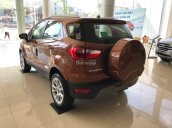 Bán ô tô Ford EcoSport Titanium 1.5L AT sản xuất 2018 tại Bắc Giang, có trả góp 80%, giao xe ngay