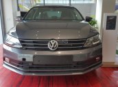 Quãng Ngãi - Volkswagen đời 2016, màu xám (ghi), xe nhập, 899tr - Hỗ trợ trả góp