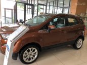 Bán Ecosport 1.0 Ecoboost giá tốt chạy số tháng ngâu cho khách hàng Bắc Giang, LH 0941921742