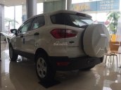 Bán Ford Ecosport Ambitene màu trắng sản xuất năm 2018, hỗ trợ bảo hiểm thân vỏ, gói phụ kiện, L/h: 0963483132