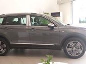 Bán xe Volkswagen Tiguan năm sản xuất 2018, màu xám (ghi), nhập khẩu