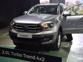 Bán xe Ford Everest năm 2018, màu xám, 850 triệu