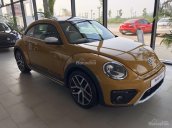 Cần bán xe Volkswagen New Beetle năm 2018, màu cam, nhập khẩu nguyên chiếc