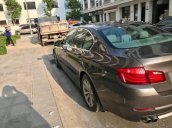 Xe BMW 5 Series 523i năm sản xuất 2010 