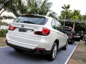 Bán BMW X5 đời 2018, màu trắng, xe nhập