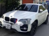 Bán BMW X6 đời 2008, màu trắng, nhập khẩu nguyên chiếc