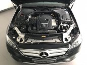 Bán Mercedes-Benz E250, chính hãng, siêu ưu đãi, vàng 9999