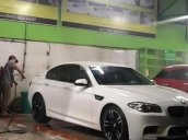 Cần bán lại xe BMW 5 Series 520i đời 2014, màu trắng 