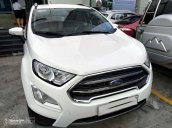 Lăn bánh ngay Ford EcoSport 1.0L Ecoboost Titanium 2018. Liên hệ: 0932.356.659