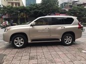 Bán xe Lexus GX 460 sản xuất 2010, nhập khẩu nguyên chiếc chính chủ