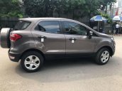 Cần bán xe Ford EcoSport đời 2018, màu nâu, nhập khẩu