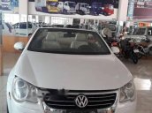 Bán xe Volkswagen Eos sản xuất năm 2008, màu trắng 