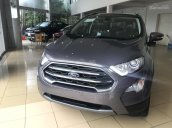 Bán Ford EcoSport, động cơ 1.0L EcoSport sản xuất năm 2018, màu nâu