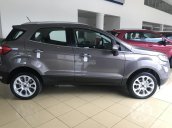 Bán Ford EcoSport, động cơ 1.0L EcoSport sản xuất năm 2018, màu nâu