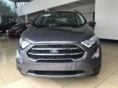 Bán Ford EcoSport, động cơ 1.0L EcoSport sản xuất năm 2018, màu nâu