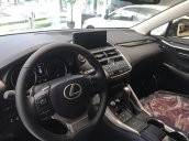 Cần bán xe Lexus NX 300 đời 2018, màu trắng, xe nhập