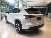 Cần bán xe Lexus NX 300 đời 2018, màu trắng, xe nhập