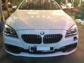 Cần bán gấp BMW 6 Series sản xuất 2017, màu trắng, xe nhập như mới