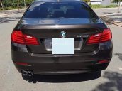 Cần bán BMW 5 Series 520i năm 2015, màu nâu, xe nhập