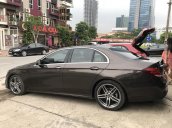 Cần bán xe Mercedes E300 AMG 2017 sản xuất 2017, màu nâu, giá cực rẻ
