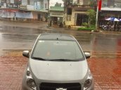 Cần bán Chevrolet Spark LS sản xuất năm 2015, màu bạc, nhập khẩu