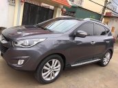 Cần bán xe Hyundai Tucson 2.0 AT 4X4 đời 2010, màu xám, nhập khẩu  