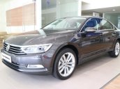 Passat Comfort hỗ trợ 100% trước bạ trong tháng 02/2020, xe giao ngay - hỗ trợ vay 90%