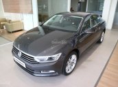 Passat Comfort hỗ trợ 100% trước bạ trong tháng 02/2020, xe giao ngay - hỗ trợ vay 90%